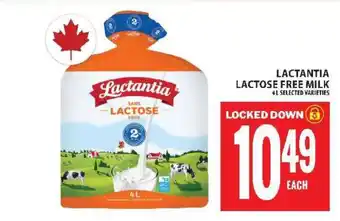 Food Basics LACTANTIA LACTOSE FREE MILK offer
