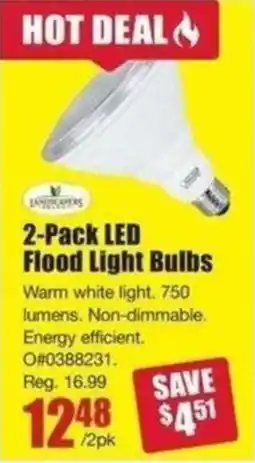 Timber Mart LED Flood Light Bulbs offer
