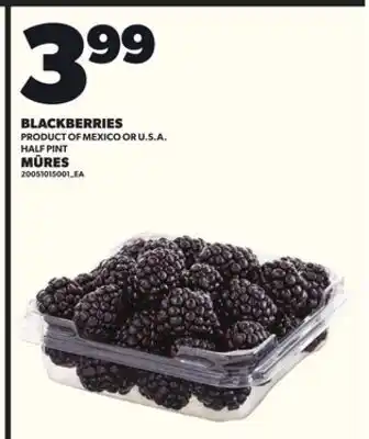 Independent City Market BLACKBERRIES offer