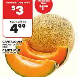 Independent City Market CANTALOUP offer