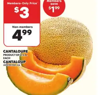 Independent City Market CANTALOUP offer