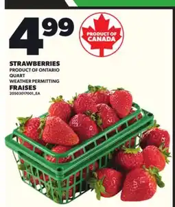 Independent City Market STRAWBERRIES, QUART offer