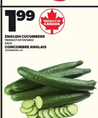 Independent City Market CONCOMBRE ANGLAIS offer