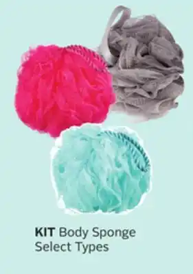 Rexall KIT Body Sponge offer