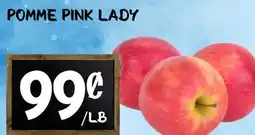 Marche Salaberry POMME PINK LADY offer