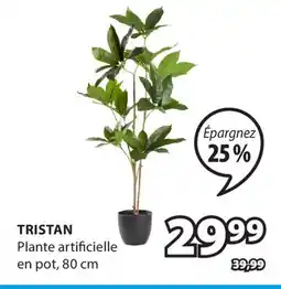 JYSK Plante TRISTAN offer