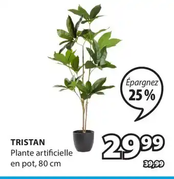 JYSK Plante TRISTAN offer