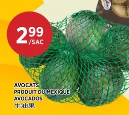 Kim Phat AVOCADOS offer