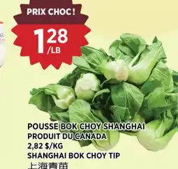 Kim Phat SHANGHAI BOK CHOY TIP offer