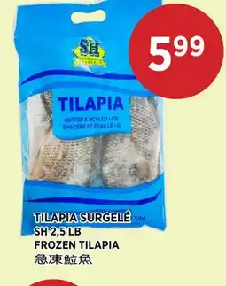 Kim Phat SH FROZEN TILAPIA offer