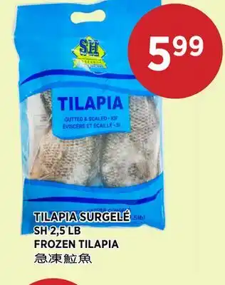 Kim Phat SH FROZEN TILAPIA offer