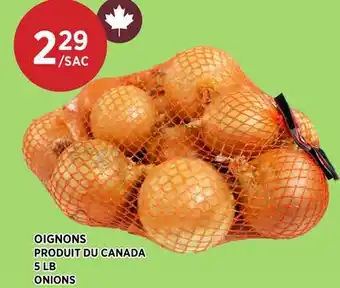 Kim Phat ONIONS offer
