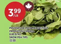 Kim Phat SNOW PEA TIPS offer