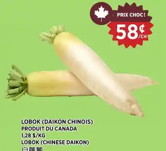 Kim Phat LOBOK (CHINESE DAIKON) offer