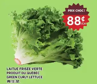 Kim Phat GREEN CURLY LETTUCE offer