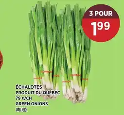Kim Phat GREEN ONIONS offer