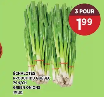 Kim Phat GREEN ONIONS offer