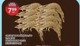 Kim Phat FRESH SHRIMP 20/30 offer