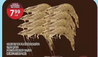 Kim Phat FRESH SHRIMP 20/30 offer