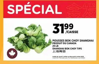 Kim Phat SHANGHAI BOK CHOY TIPS offer