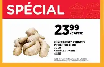 Kim Phat CHINESE GINGERS offer