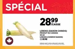 Kim Phat LOBOKS (CHINESE DAIKON) offer