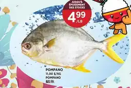 Kim Phat POMPANO offer