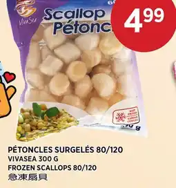Kim Phat VIVASEA FROZEN SCALLOPS 80/120 offer