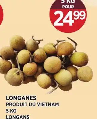 Kim Phat LONGANS offer