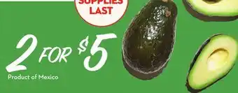 Longo's Avocados offer