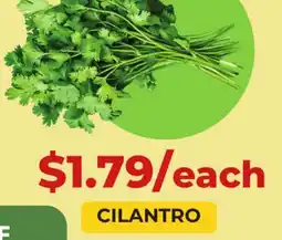 Food World Supermarket CILANTRO offer