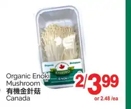 T&T Supermarket ORGANIC ENOKI MUSHROOM offer