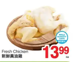 T&T Supermarket FRESH CHICKEN offer