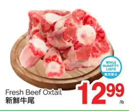 T&T Supermarket FRESH BEEF OXTAIL offer