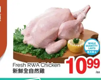 T&T Supermarket FRESH RWA CHICKEN offer
