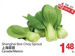 T&T Supermarket SHANGHAI BOK CHOY SPROUT offer