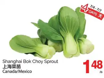T&T Supermarket SHANGHAI BOK CHOY SPROUT offer
