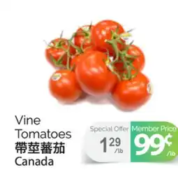 T&T Supermarket VINE TOMATOES offer