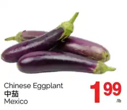 T&T Supermarket CHINESE EGGPLANT offer