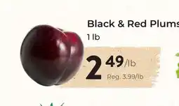 Marche Leo's Black & Red Plums offer