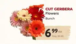 Marche Leo's CUT GERBERA Flowers offer