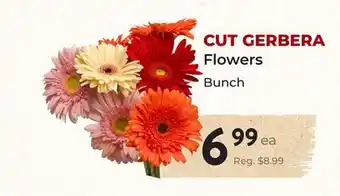 Marche Leo's CUT GERBERA Flowers offer