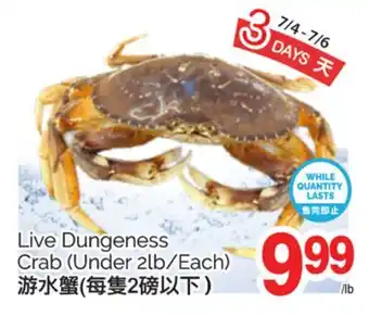 T&T Supermarket LIVE DUNGENESS CRAB, (Under 2lb/Each) offer