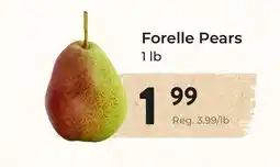 Marche Leo's Forelle Pears offer