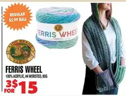 Len's Mill Stores FERRIS WHEEL offer