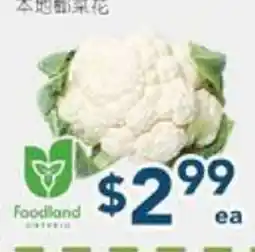 Oceans Fresh Food Market Local Cauliflower offer