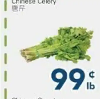 Oceans Fresh Food Market Chinese Celery offer