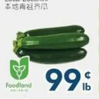 Oceans Fresh Food Market Local Zucchini offer
