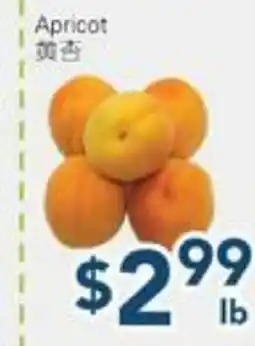 Oceans Fresh Food Market Apricot offer