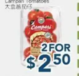Oceans Fresh Food Market Campari Tomatoes offer